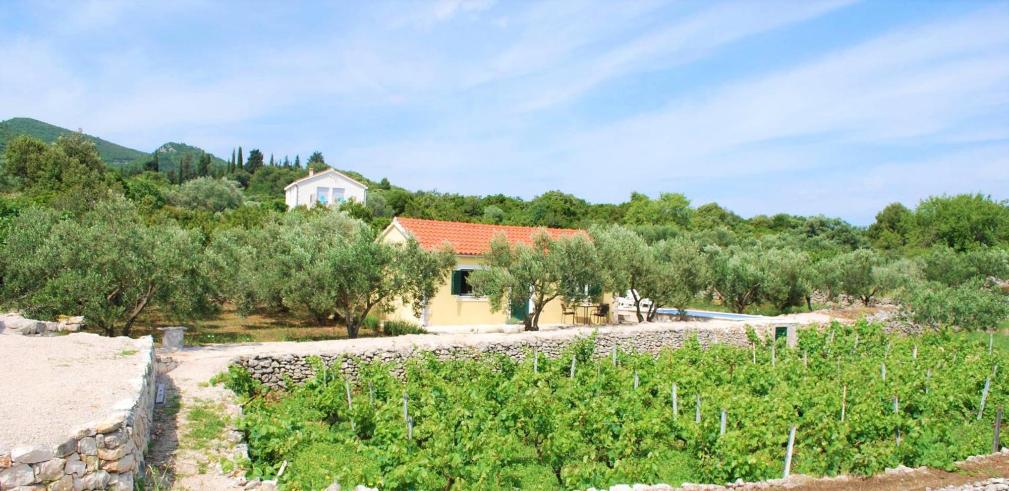 Vila Vineyard House & Olive Grove House Račišće Exteriér fotografie