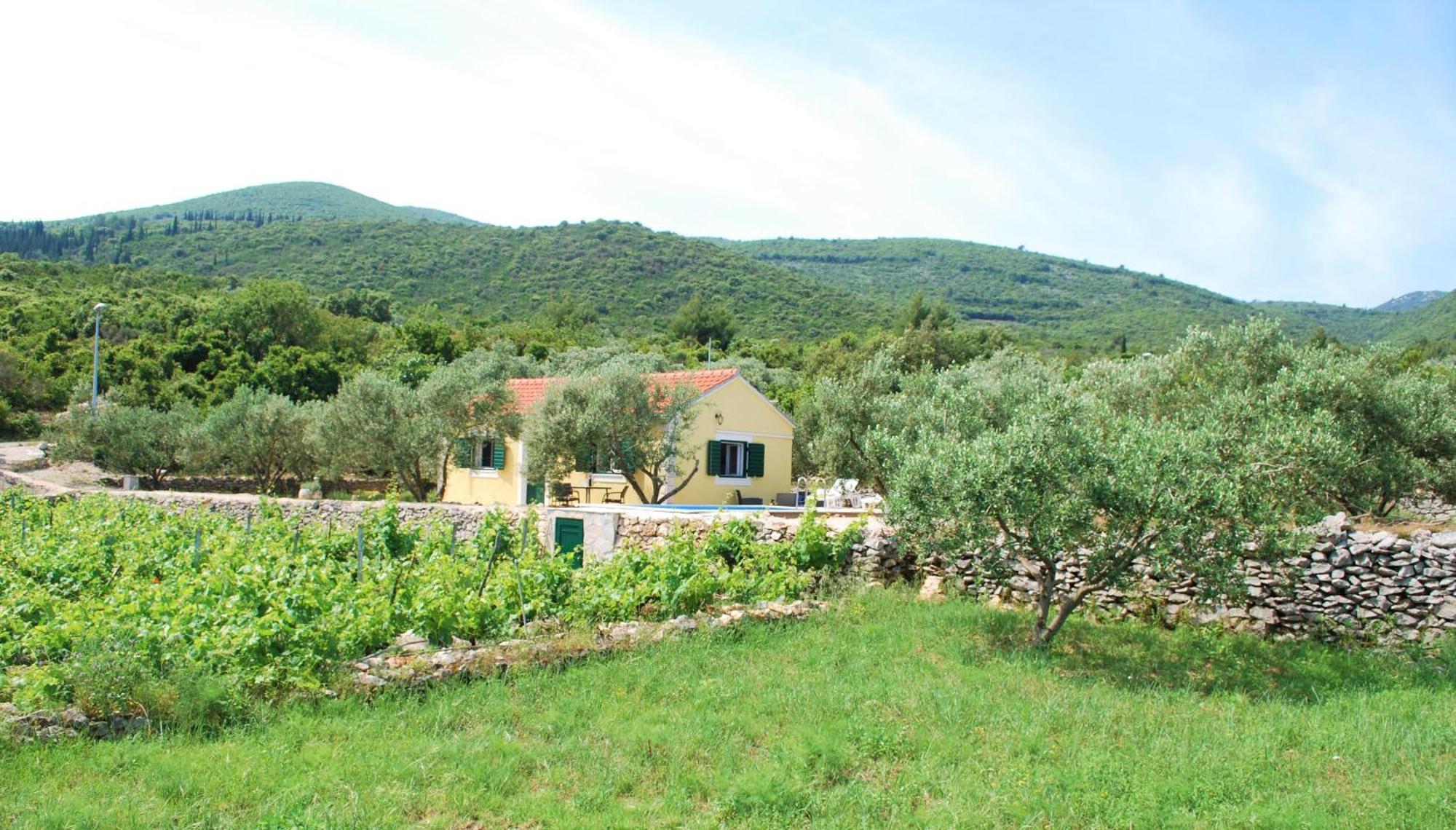 Vila Vineyard House & Olive Grove House Račišće Exteriér fotografie