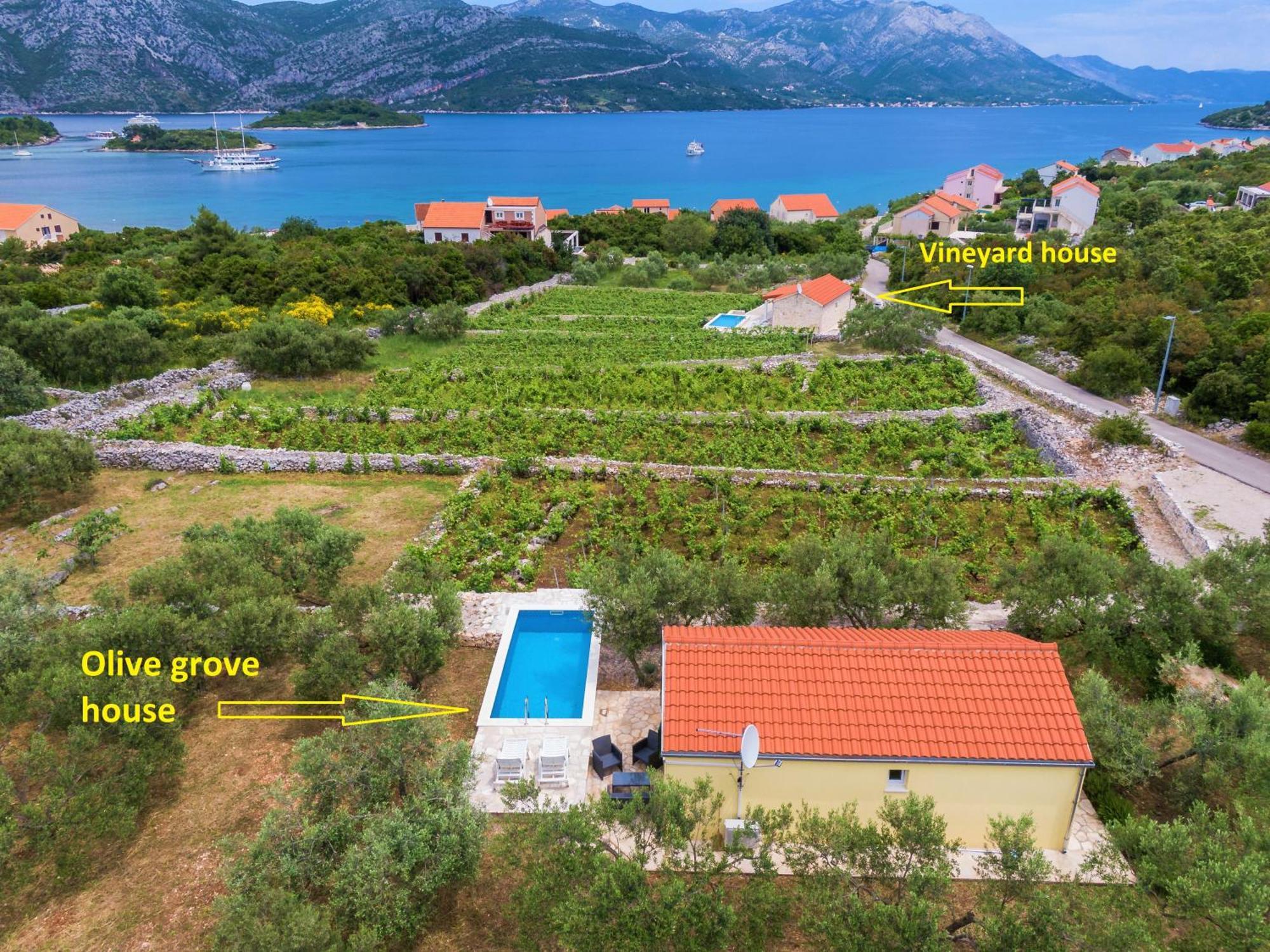 Vila Vineyard House & Olive Grove House Račišće Exteriér fotografie
