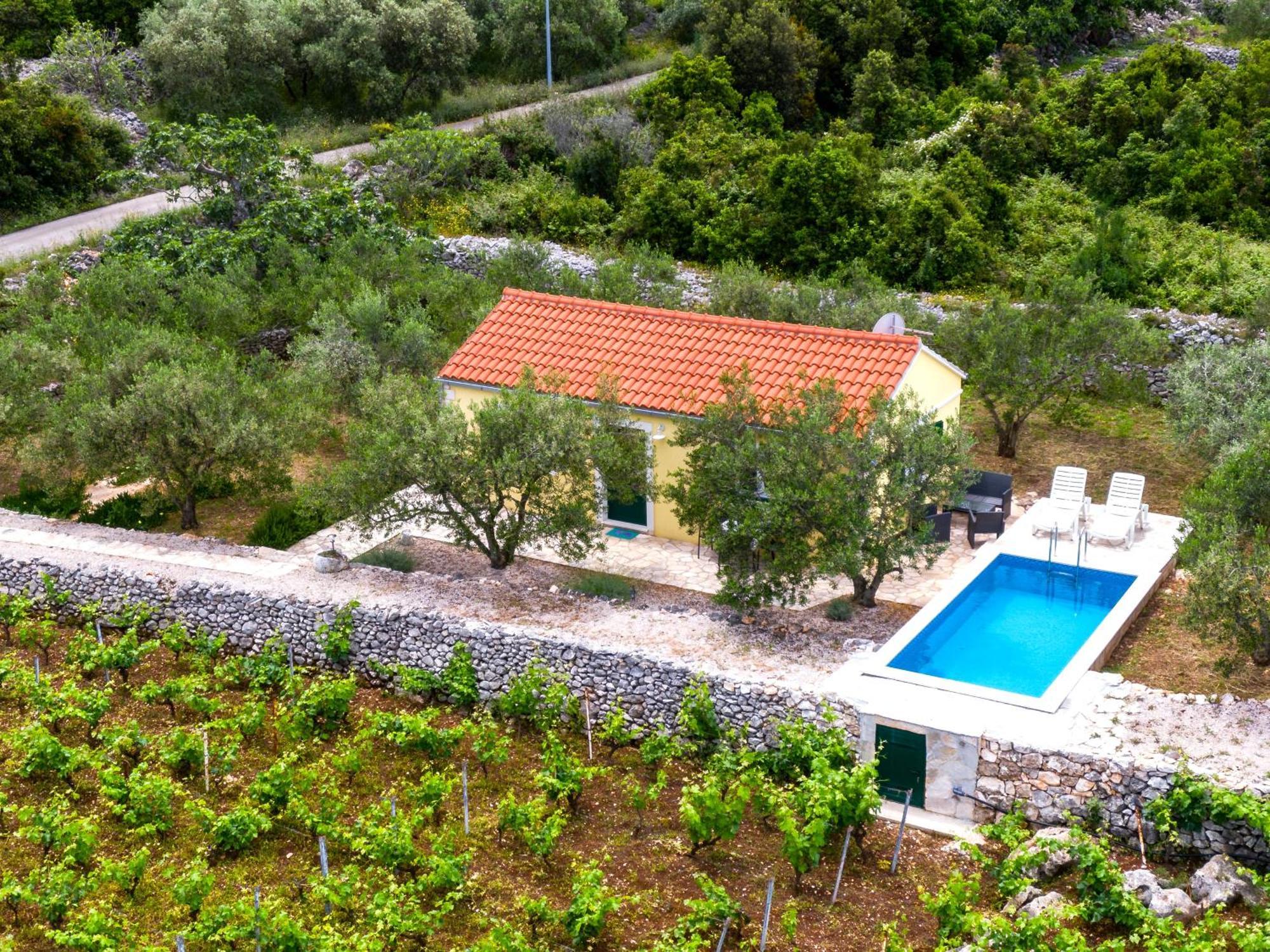 Vila Vineyard House & Olive Grove House Račišće Exteriér fotografie