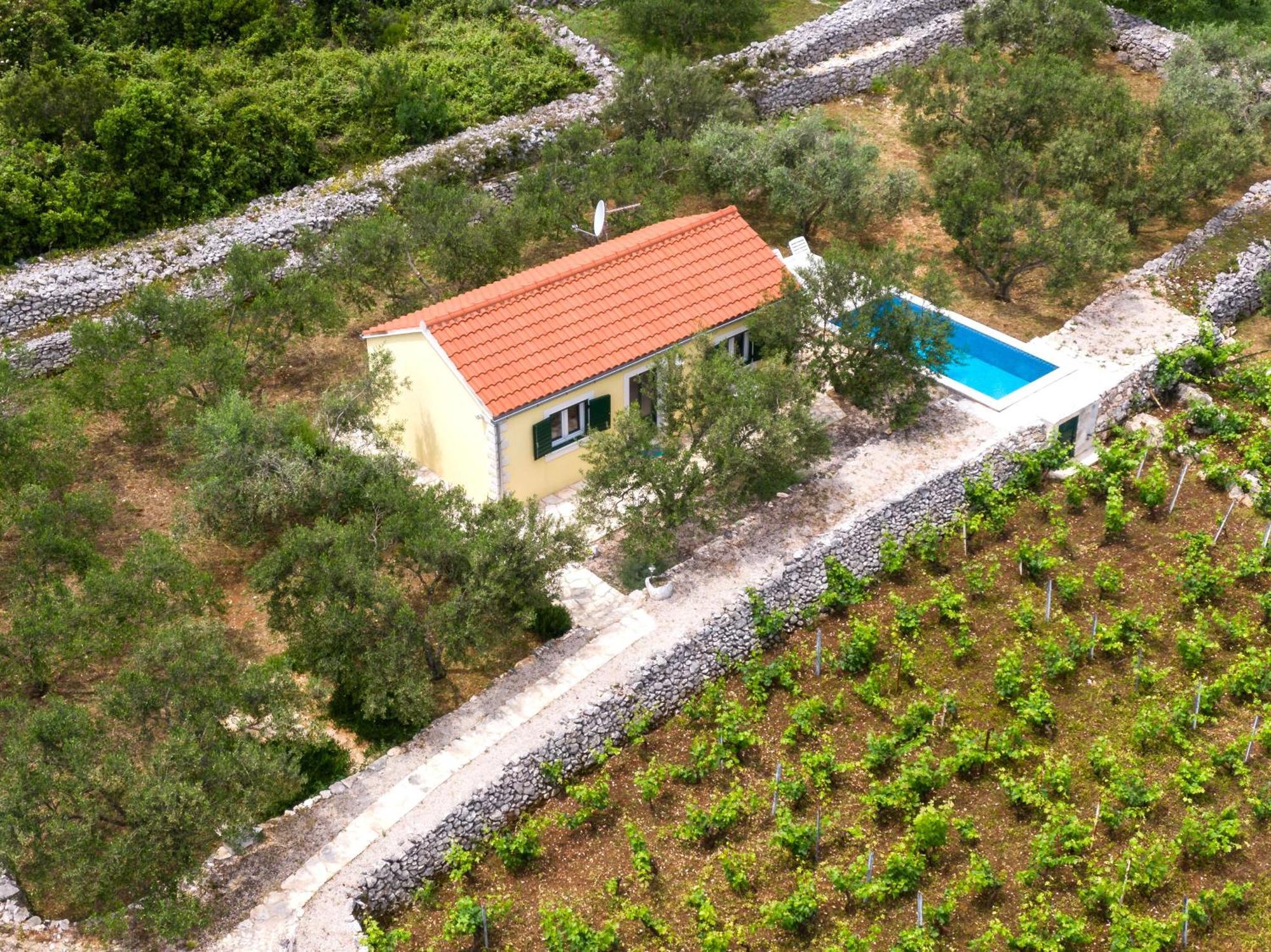 Vila Vineyard House & Olive Grove House Račišće Exteriér fotografie
