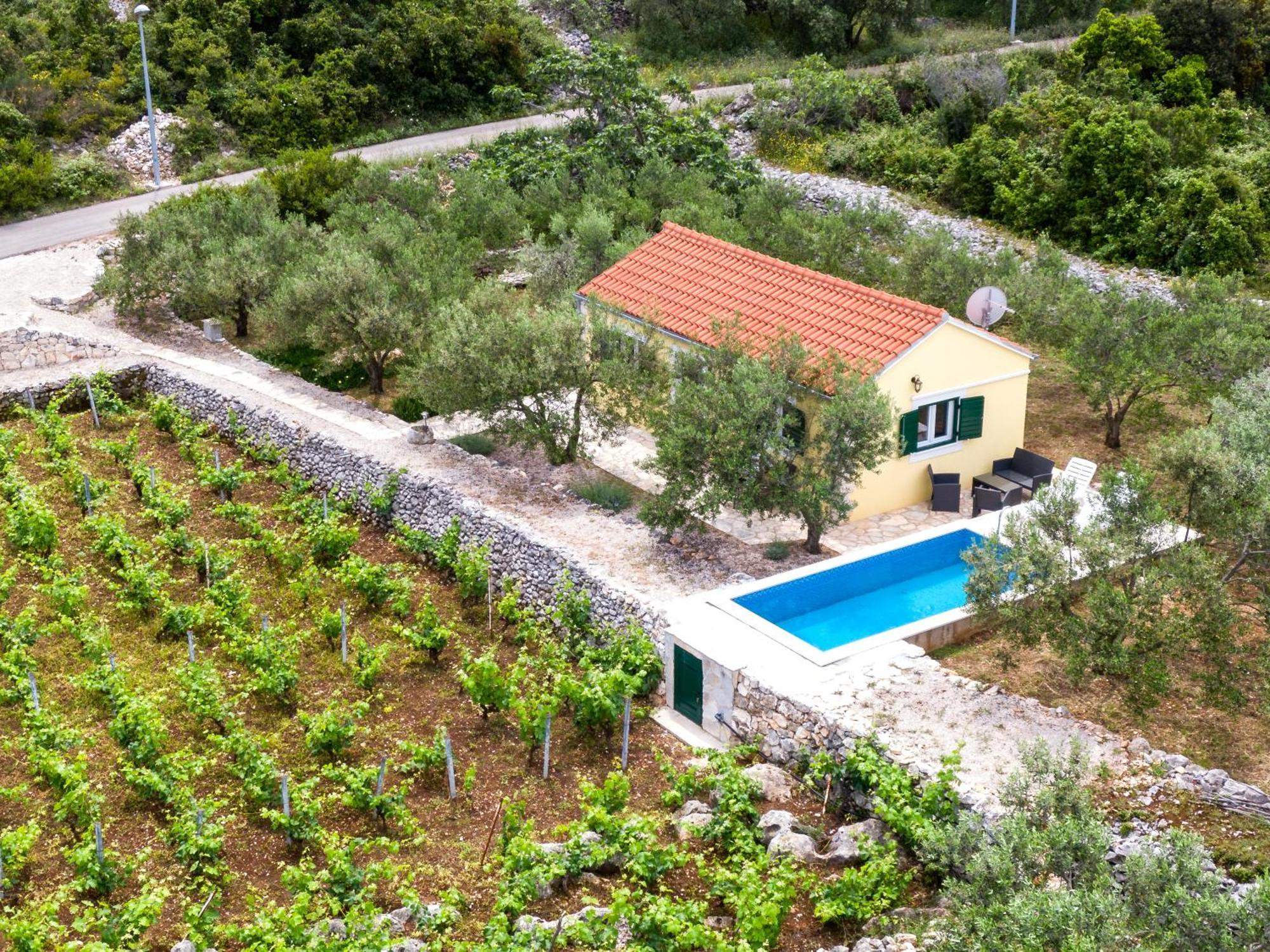 Vila Vineyard House & Olive Grove House Račišće Exteriér fotografie