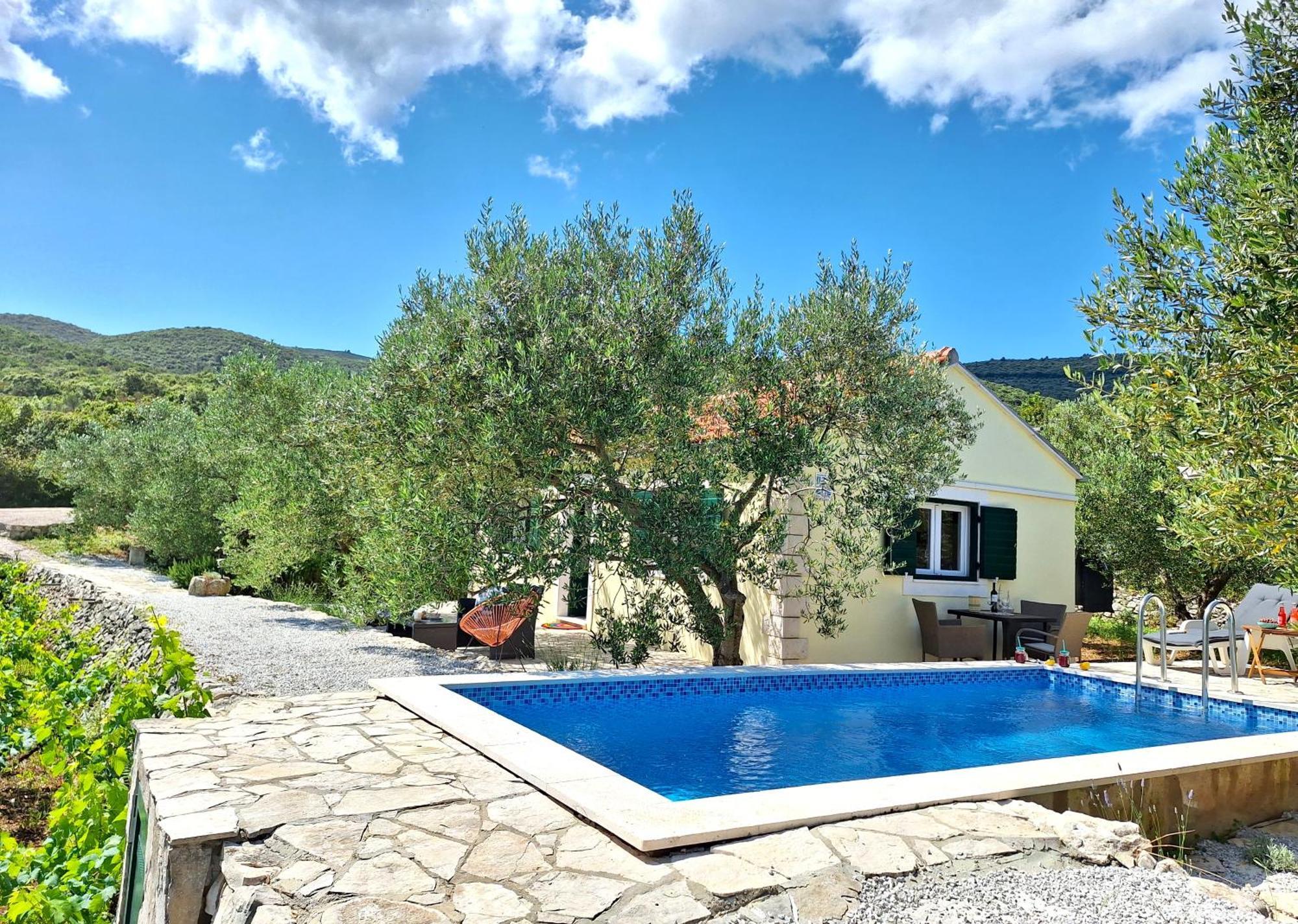 Vila Vineyard House & Olive Grove House Račišće Exteriér fotografie