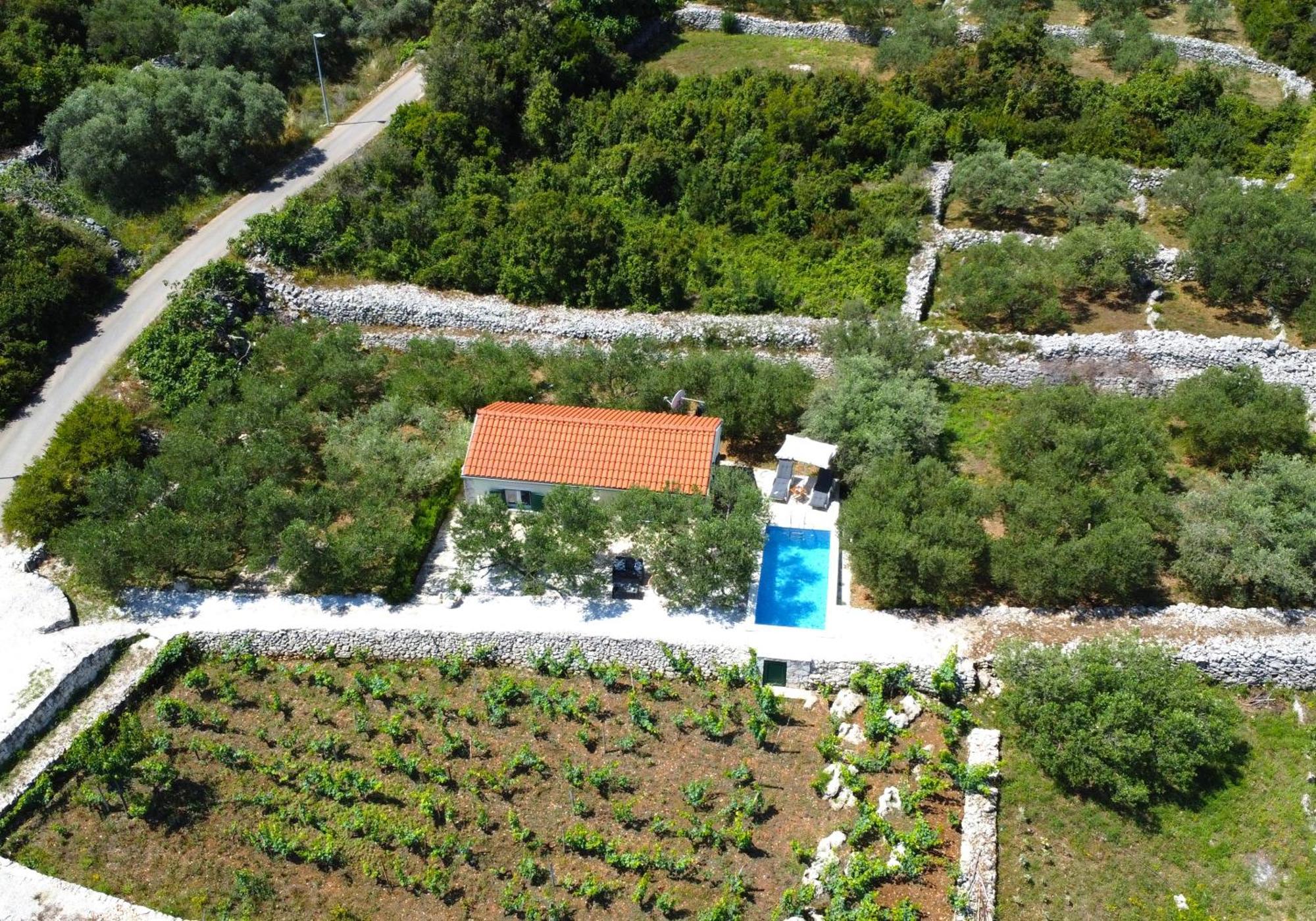 Vila Vineyard House & Olive Grove House Račišće Exteriér fotografie
