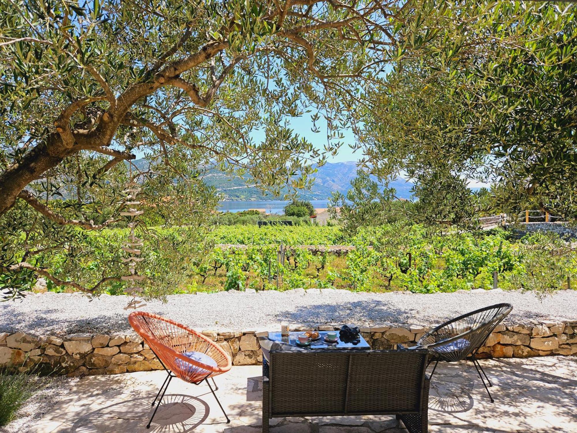Vila Vineyard House & Olive Grove House Račišće Exteriér fotografie