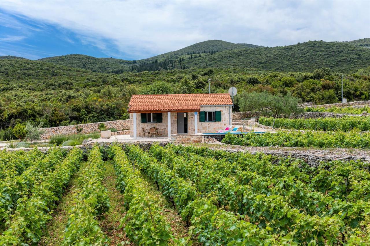 Vila Vineyard House & Olive Grove House Račišće Exteriér fotografie