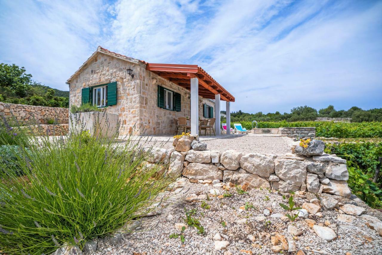 Vila Vineyard House & Olive Grove House Račišće Exteriér fotografie