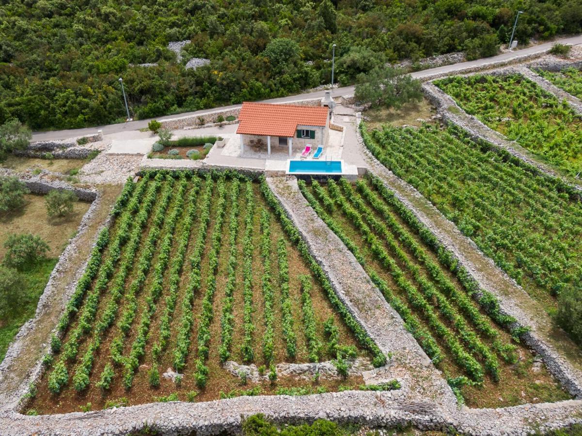 Vila Vineyard House & Olive Grove House Račišće Exteriér fotografie