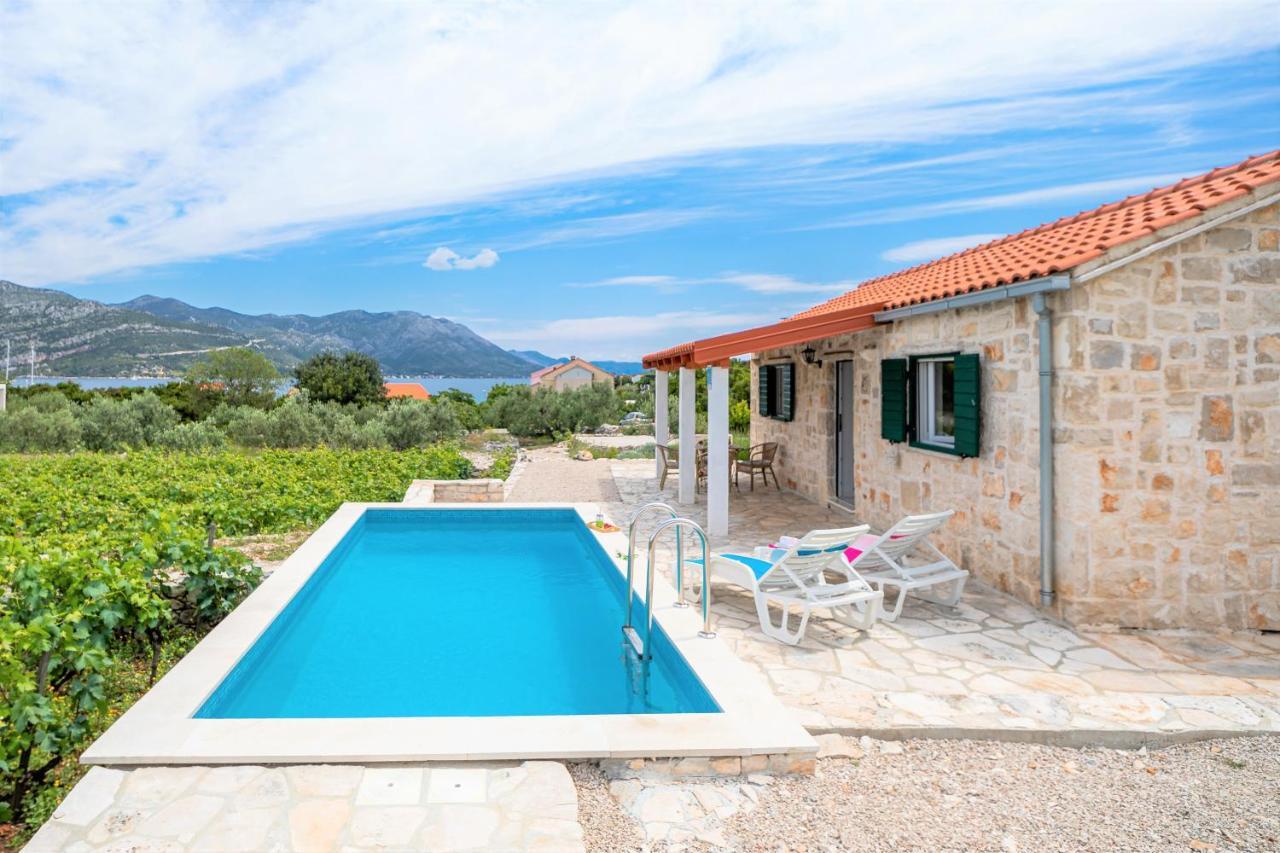 Vila Vineyard House & Olive Grove House Račišće Exteriér fotografie