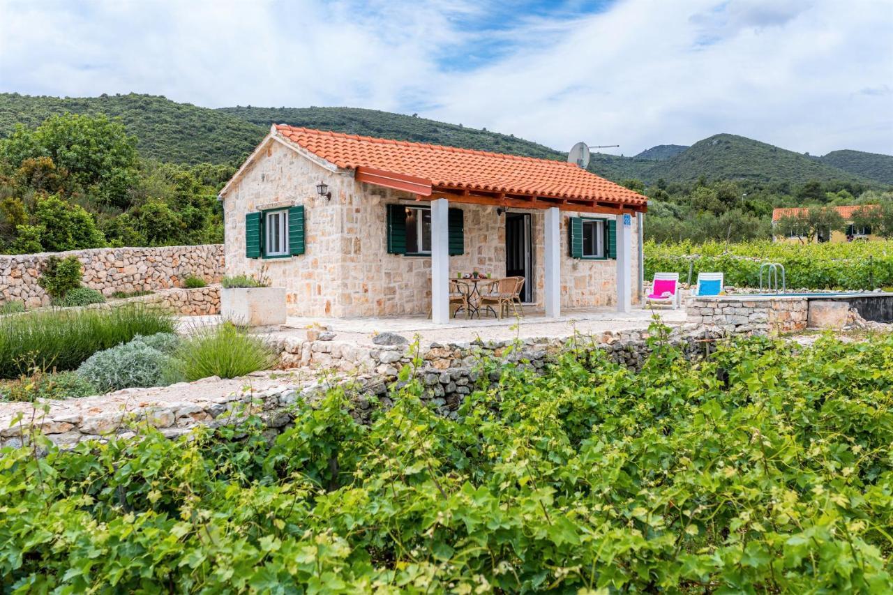Vila Vineyard House & Olive Grove House Račišće Exteriér fotografie