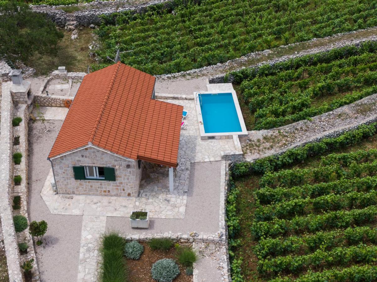 Vila Vineyard House & Olive Grove House Račišće Exteriér fotografie