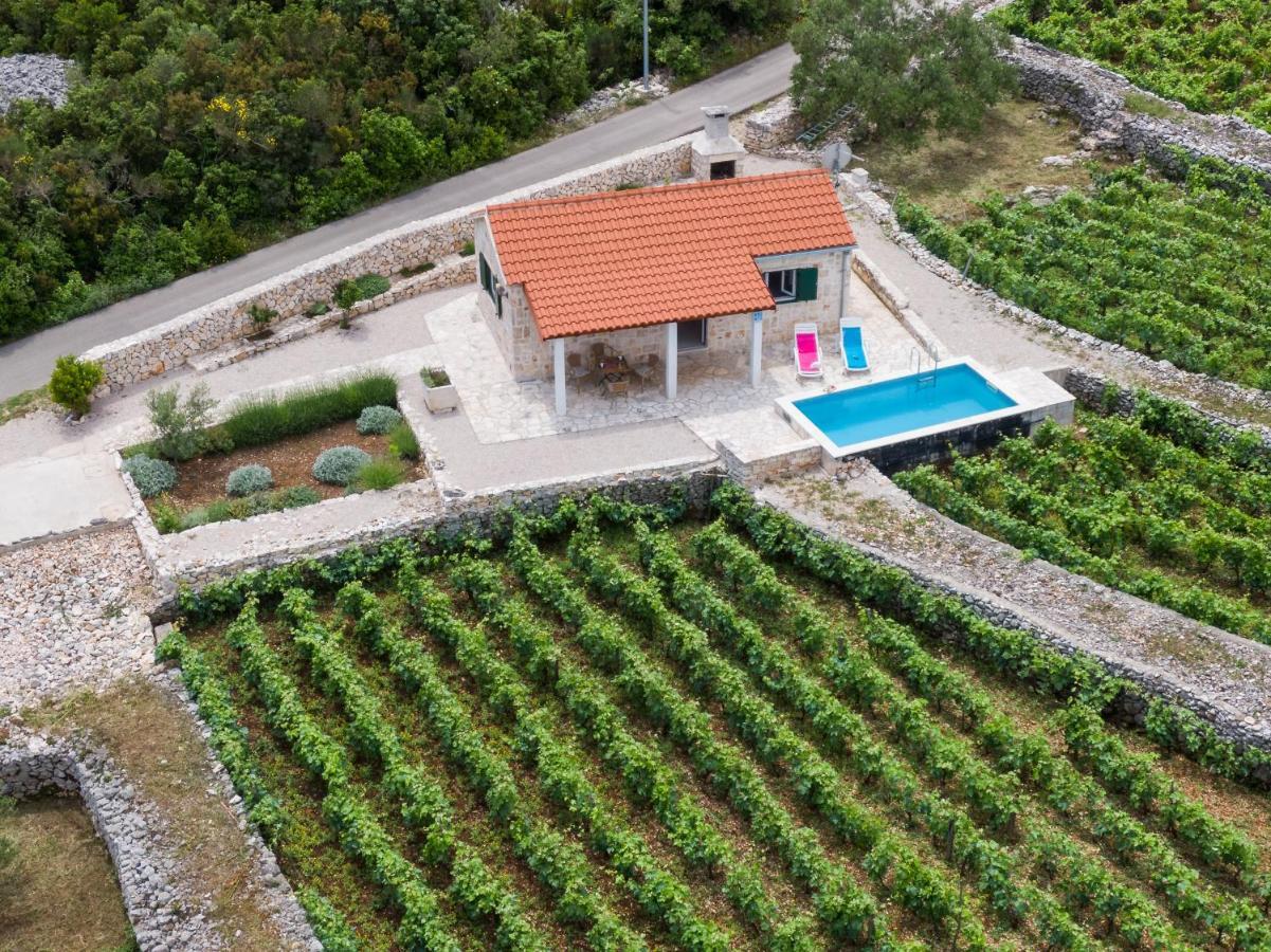 Vila Vineyard House & Olive Grove House Račišće Exteriér fotografie