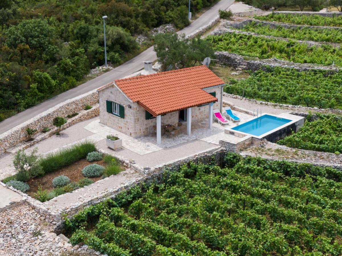 Vila Vineyard House & Olive Grove House Račišće Exteriér fotografie
